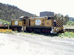 D Class Locos