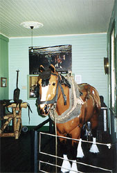 Pit Pony and Horse Harness Display