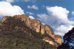 Newnes Services Home Page